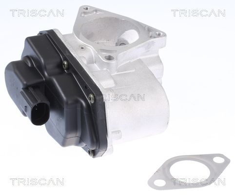 EGR Valve TRISCAN 8813 29003