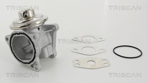 EGR Valve TRISCAN 8813 29111