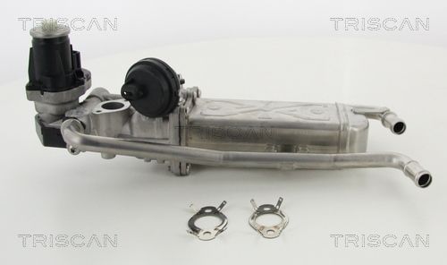 EGR Valve TRISCAN 8813 29325