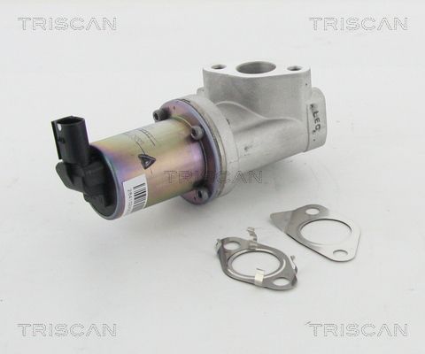 EGR Valve TRISCAN 8813 43021