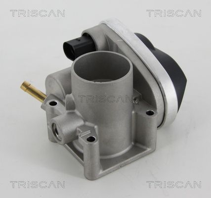 Throttle Body TRISCAN 8820 29001