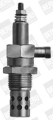 Kaitinimo žvakė BorgWarner (BERU) GF111