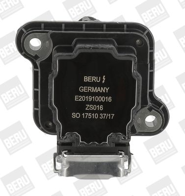 Ritė, uždegimas BorgWarner (BERU) ZS016