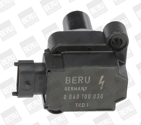 Ritė, uždegimas BorgWarner (BERU) ZS030