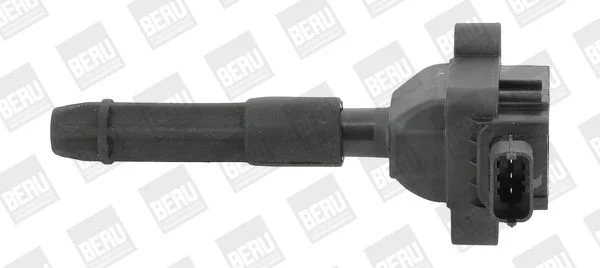 Ritė, uždegimas BorgWarner (BERU) ZS041