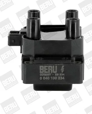 Ritė, uždegimas BorgWarner (BERU) ZS234