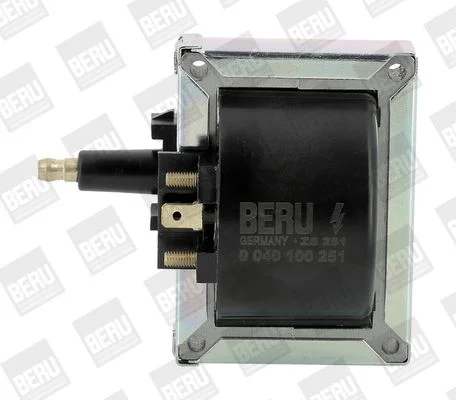 Ritė, uždegimas BorgWarner (BERU) ZS251