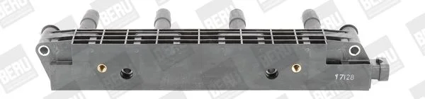 Ritė, uždegimas BorgWarner (BERU) ZS259