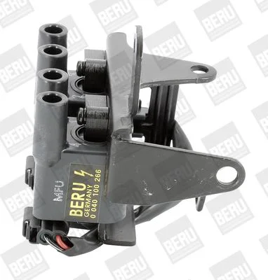 Ritė, uždegimas BorgWarner (BERU) ZS266