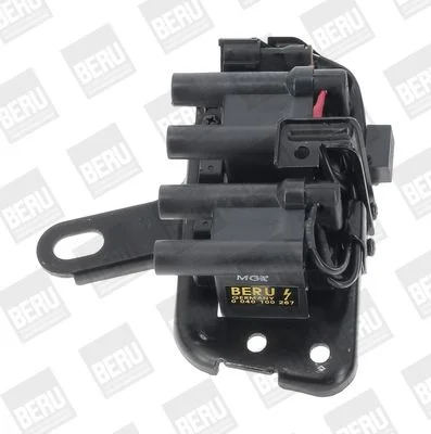 Ritė, uždegimas BorgWarner (BERU) ZS267