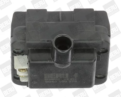 Ritė, uždegimas BorgWarner (BERU) ZS276