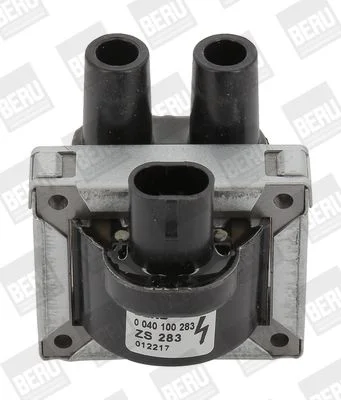 Ritė, uždegimas BorgWarner (BERU) ZS283
