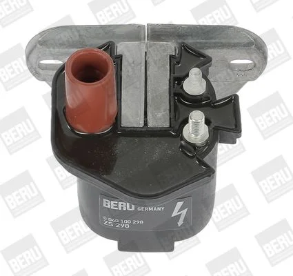 Ritė, uždegimas BorgWarner (BERU) ZS298