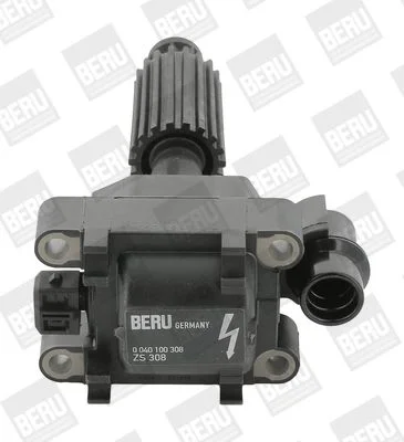 Ritė, uždegimas BorgWarner (BERU) ZS308