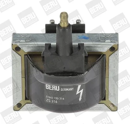 Ritė, uždegimas BorgWarner (BERU) ZS316