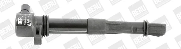 Ritė, uždegimas BorgWarner (BERU) ZS320
