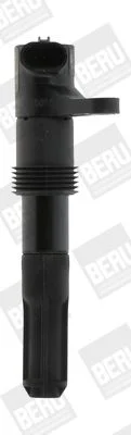 Ritė, uždegimas BorgWarner (BERU) ZS321