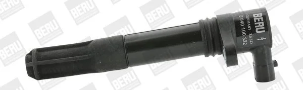 Ritė, uždegimas BorgWarner (BERU) ZS322