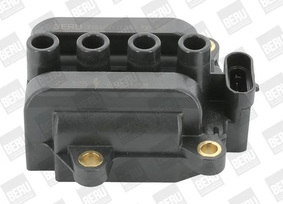 Ritė, uždegimas BorgWarner (BERU) ZS325