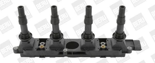 Ritė, uždegimas BorgWarner (BERU) ZS342