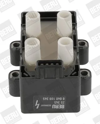 Ritė, uždegimas BorgWarner (BERU) ZS345