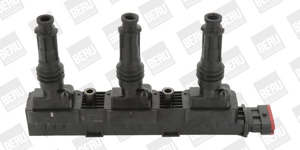 Bobina de ignição BorgWarner (BERU) ZS358