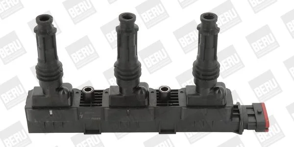 Ritė, uždegimas BorgWarner (BERU) ZS358