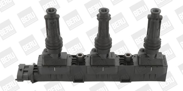 Ignition Coil BorgWarner (BERU) ZS359