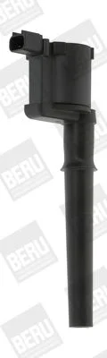 Ritė, uždegimas BorgWarner (BERU) ZS369