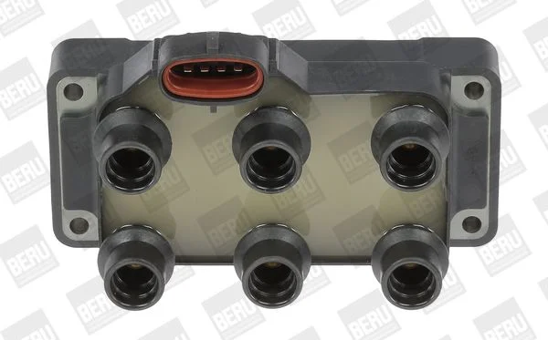 Ritė, uždegimas BorgWarner (BERU) ZS371