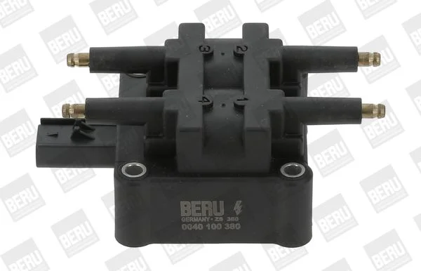 Ritė, uždegimas BorgWarner (BERU) ZS380