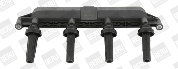 Ignition Coil BorgWarner (BERU) ZS381