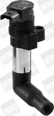 Ritė, uždegimas BorgWarner (BERU) ZS383