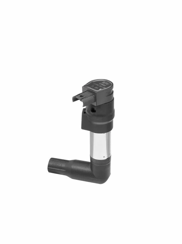Ritė, uždegimas BorgWarner (BERU) ZS384