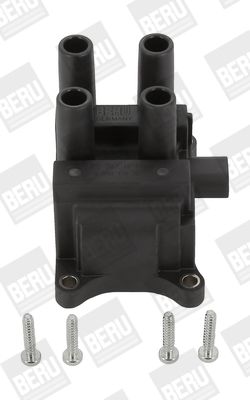 Котушка запалювання BorgWarner (BERU) ZS387