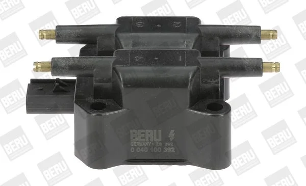 Ritė, uždegimas BorgWarner (BERU) ZS392