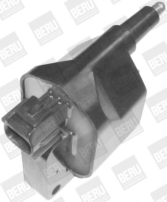 Котушка запалювання BorgWarner (BERU) ZS396