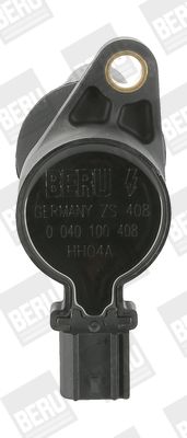 Ritė, uždegimas BorgWarner (BERU) ZS408