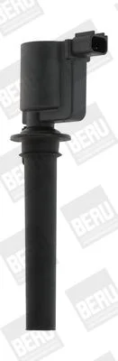 Ritė, uždegimas BorgWarner (BERU) ZS410