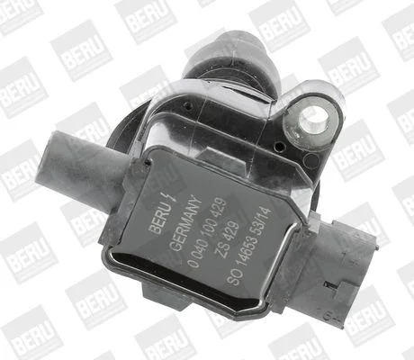 Ritė, uždegimas BorgWarner (BERU) ZS429