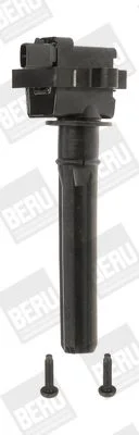 Ritė, uždegimas BorgWarner (BERU) ZS431