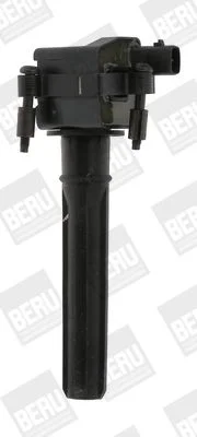 Ritė, uždegimas BorgWarner (BERU) ZS432