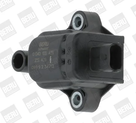Ritė, uždegimas BorgWarner (BERU) ZS439