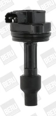 Ritė, uždegimas BorgWarner (BERU) ZS446