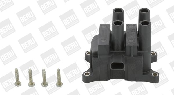 Ignition Coil BorgWarner (BERU) ZS448