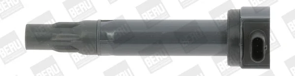 Ritė, uždegimas BorgWarner (BERU) ZS453