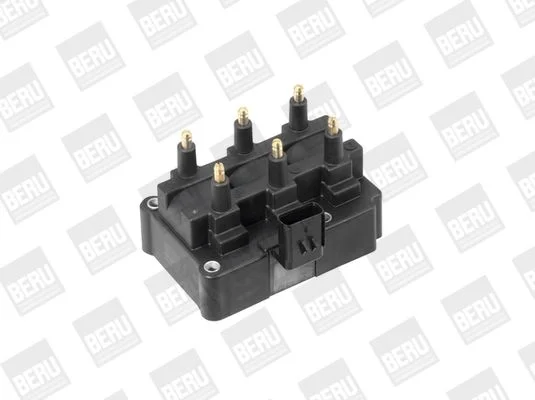 Ritė, uždegimas BorgWarner (BERU) ZS470