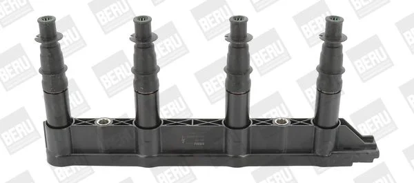 Ritė, uždegimas BorgWarner (BERU) ZS472