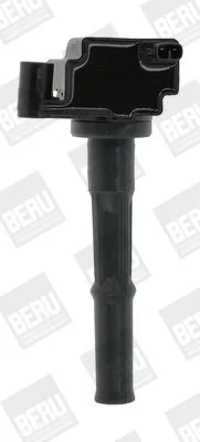 Ritė, uždegimas BorgWarner (BERU) ZS473