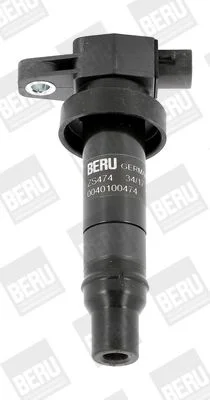 Ritė, uždegimas BorgWarner (BERU) ZS474